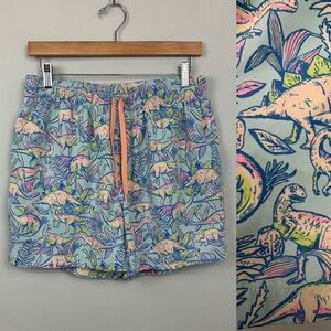 Chubbies Swim Trunks Pastel Dinosaur Print Sz L